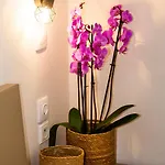 Ambiance Studios Aparthotel 3*