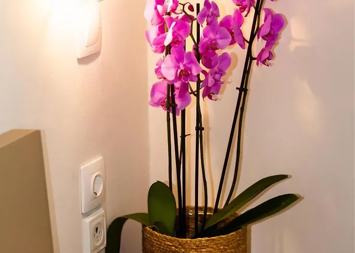 Ambiance Hotel de apartamente 3*