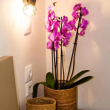 Ambiance Studios Aparthotel 3*